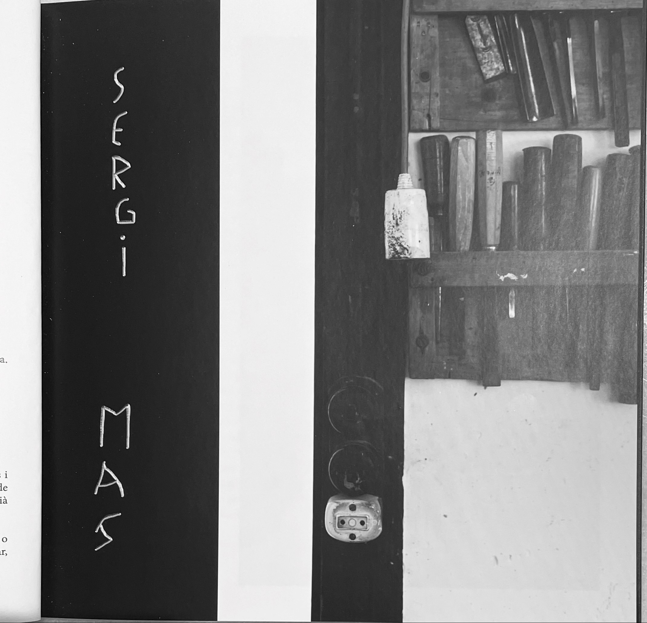 21 gener 2022 - Presentació del llibre Sergi Mas. Comiat diferit. Anem Editors Laura Gálvez-Rhein - Fotògrafa