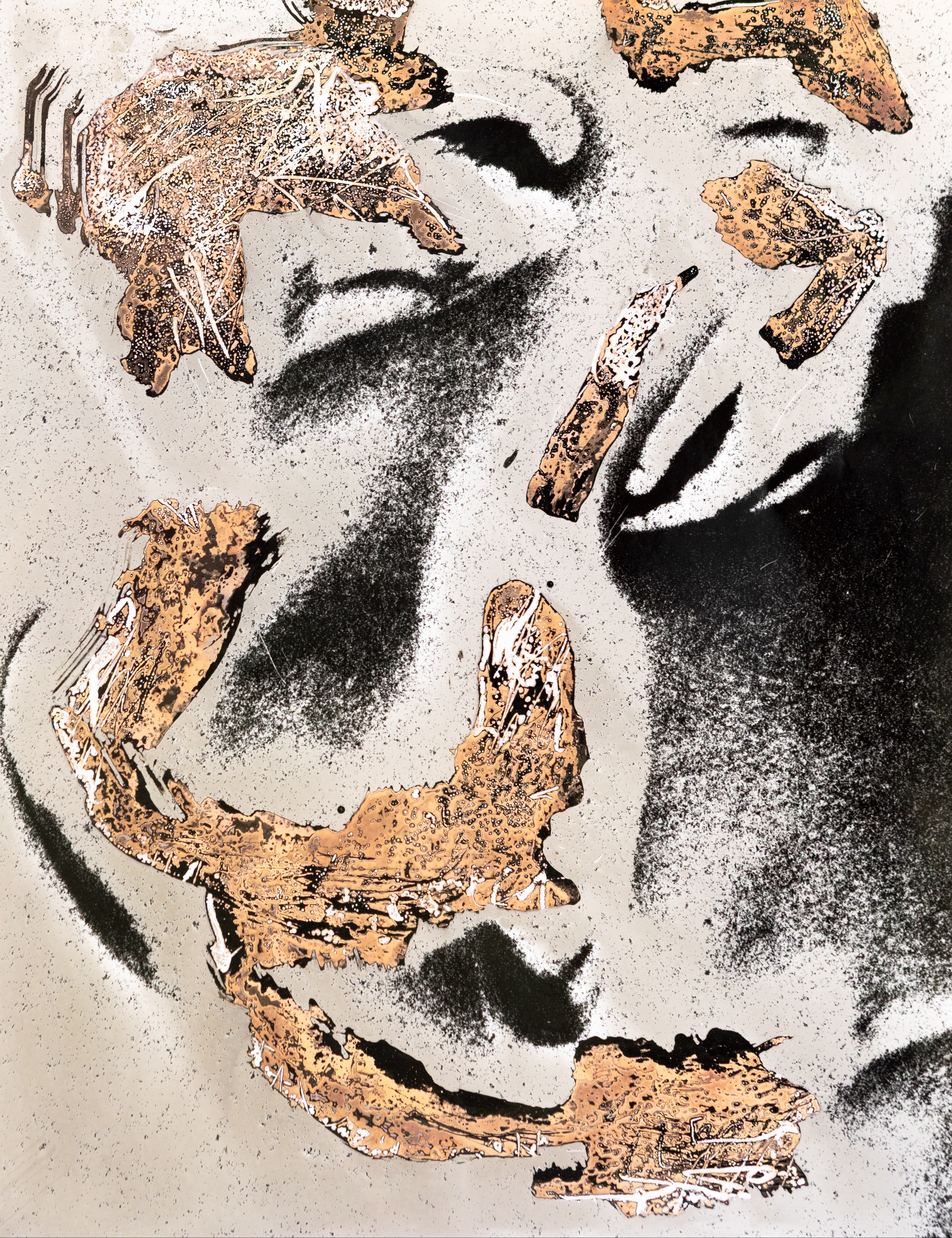 Of Fragments 2025 - Chemigram on silver gelatin print - 23 x 26 